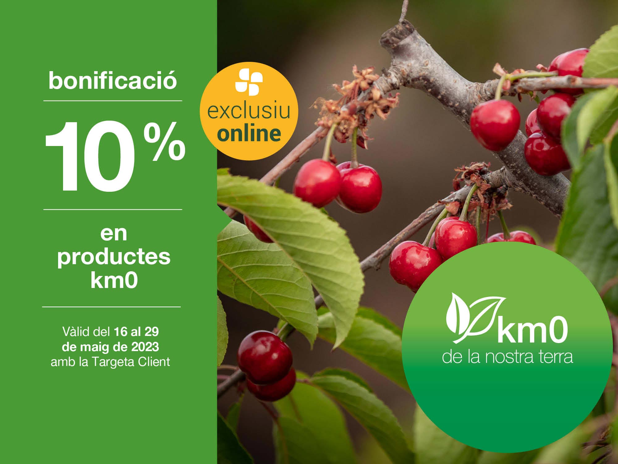 Oferta exclusiva online
