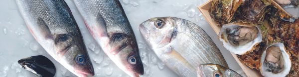 Image banner 4
