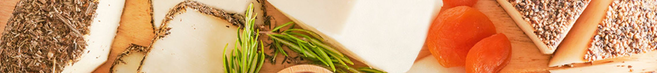 Image banner 2