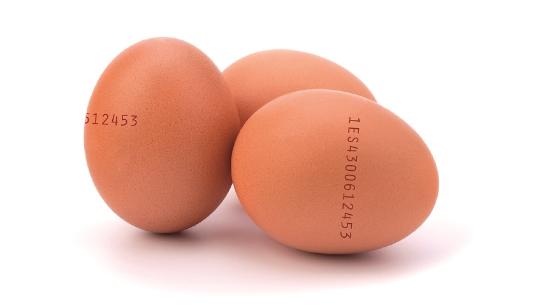 Què indica el codi imprès a la closca dels ous?