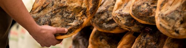 Image banner 2