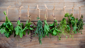 Herbes aromàtiques: sabor i nutrients al plat