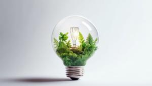 La teva energia, 100 % verda, pot canviar el món